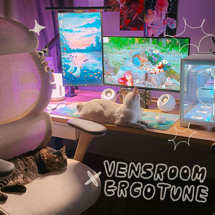 ergotune x vensroom